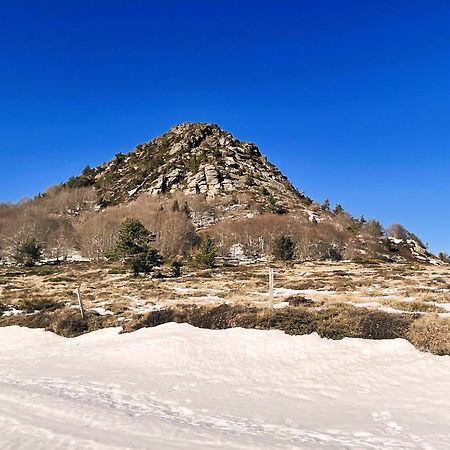 Gite De La Cigale Burzet Esterno foto