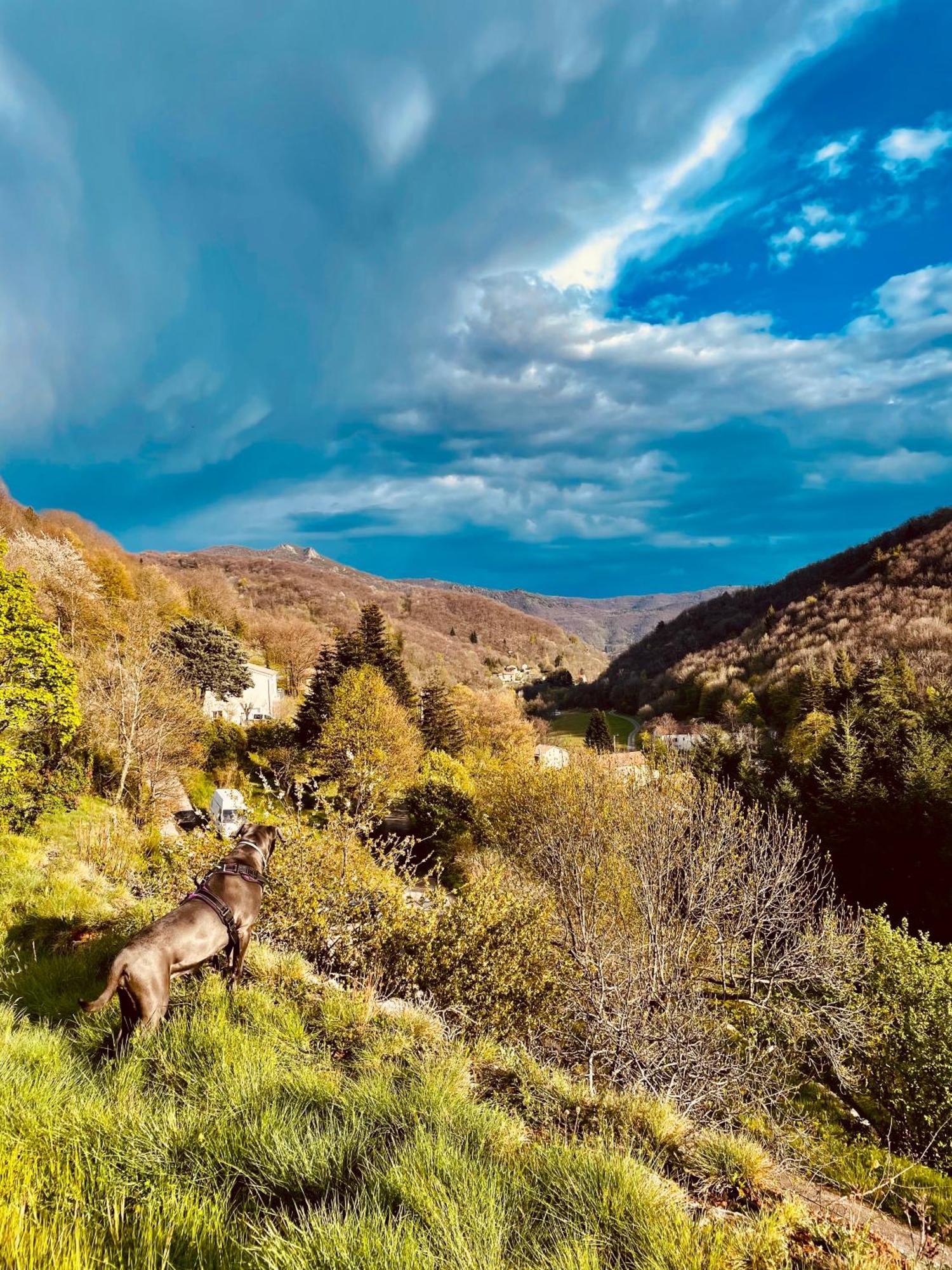 Gite De La Cigale Burzet Esterno foto